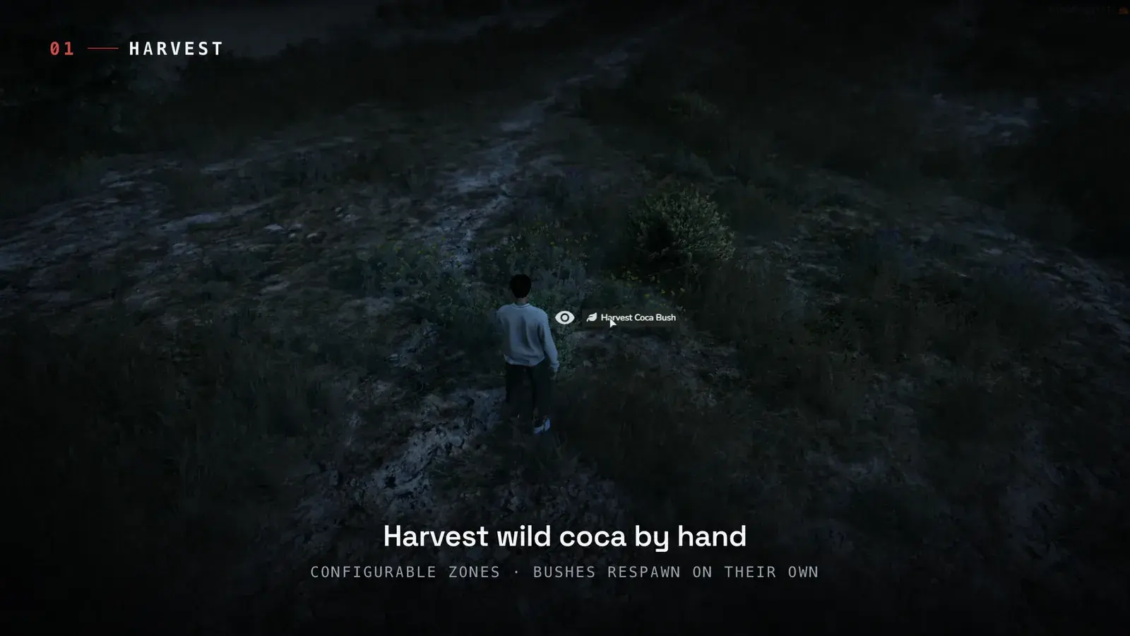 Player at night in countryside grass beside a wild coca bush with a Harvest Coca Bush target prompt