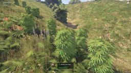 OXIDE WEED | The Most Realistic Weed System - Thumbnail 2