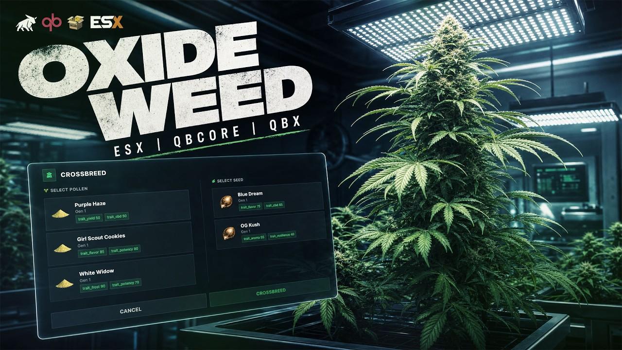 OXIDE WEED | The Most Realistic Weed System video preview